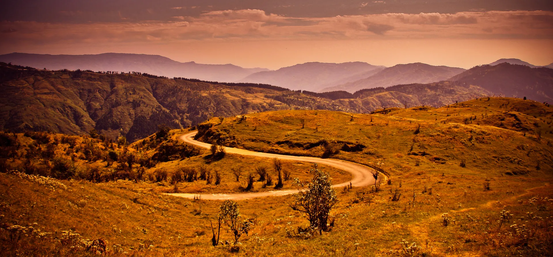 Darjeeling — Photography by Yehonatan Drami
