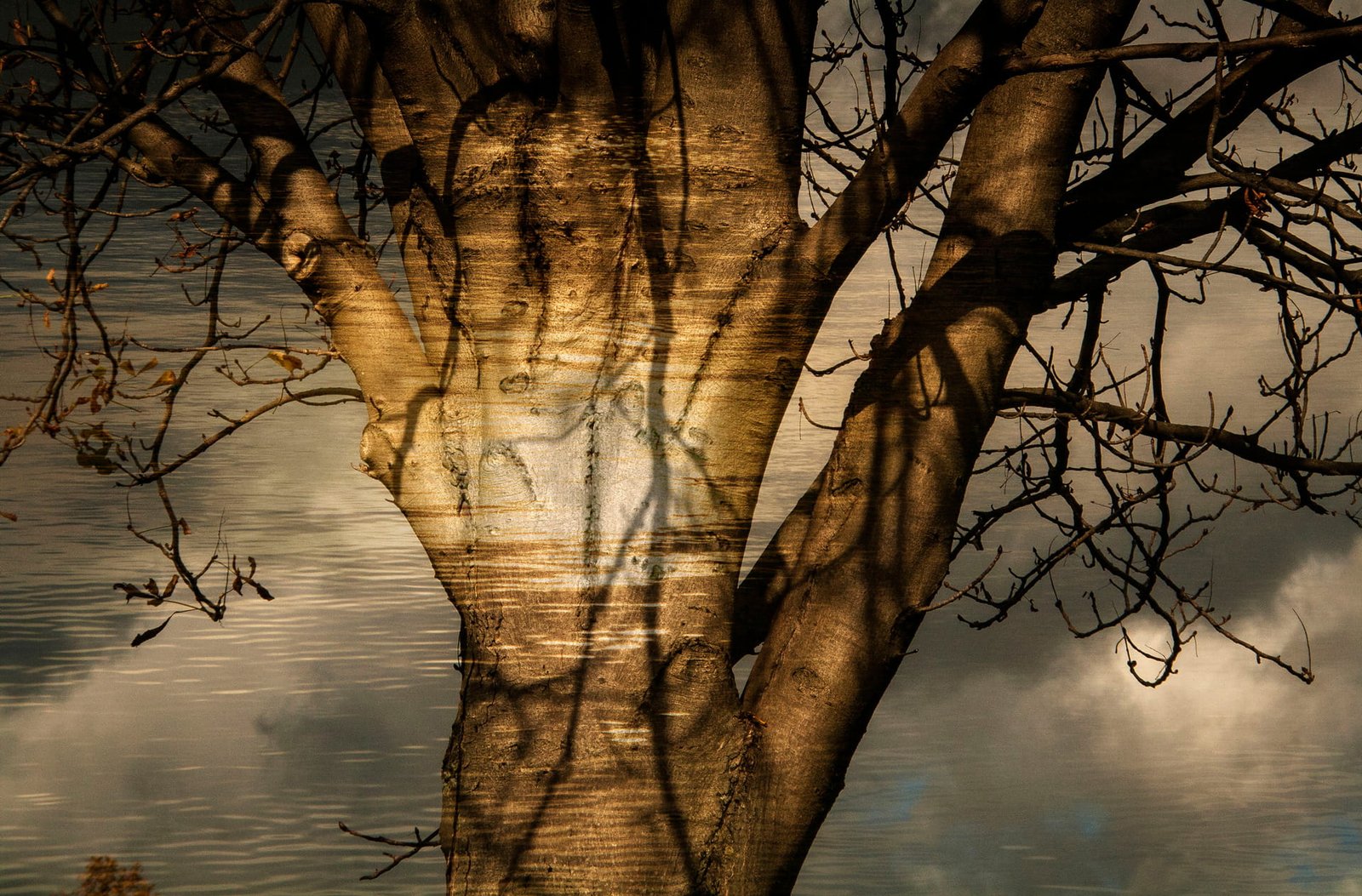 Natural Mystic — Toulouse, France · Photography by Yehonatan Drami